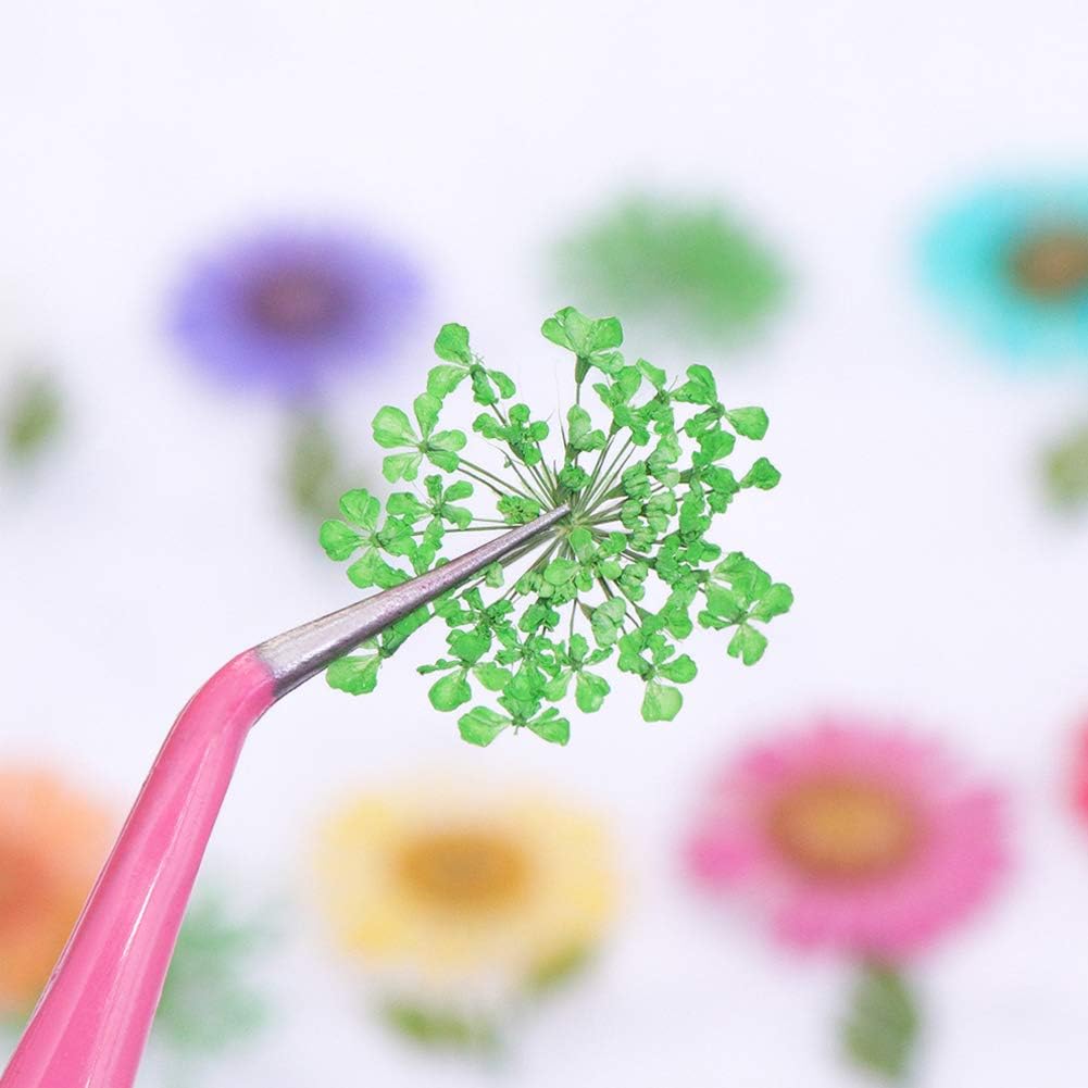 Nail Art Gerçek Kuru Süsleme Çiçekleri (12'li)