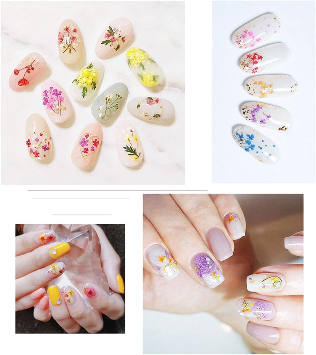 Nail Art Gerçek Kuru Süsleme Çiçekleri (12'li)